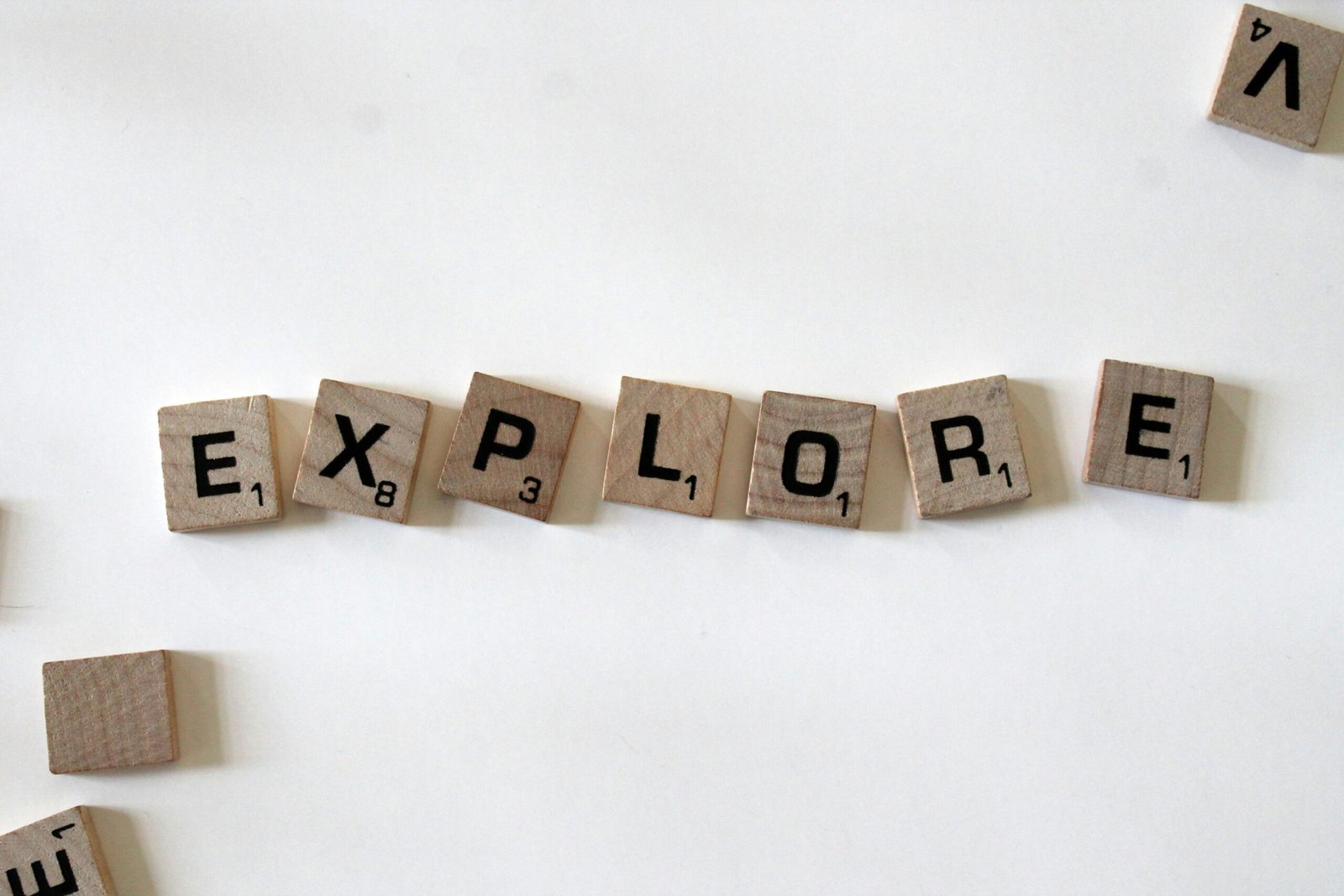 Every Experience Matters: My Career Journey to Social Media Management